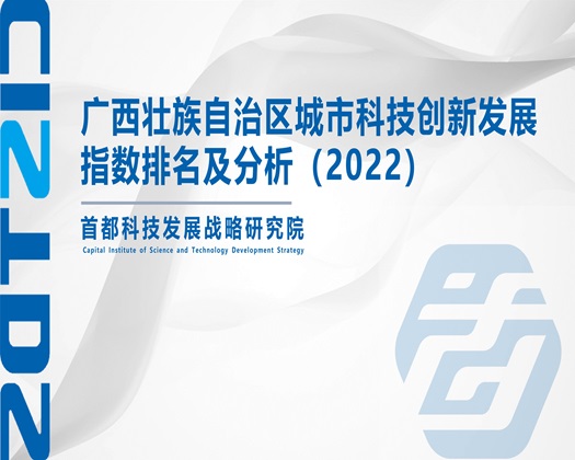 美女老屄【成果发布】广西壮族自治区城市科技创新发展指数排名及分析（2022）